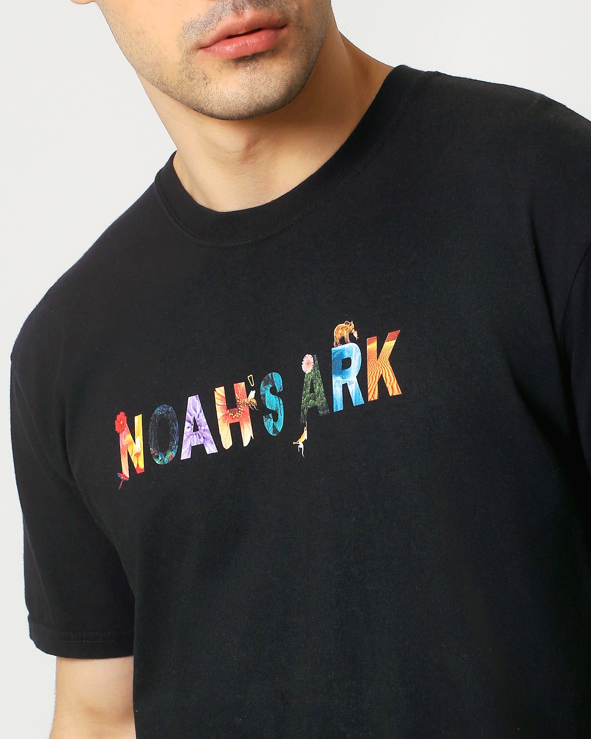 Noah's Ark