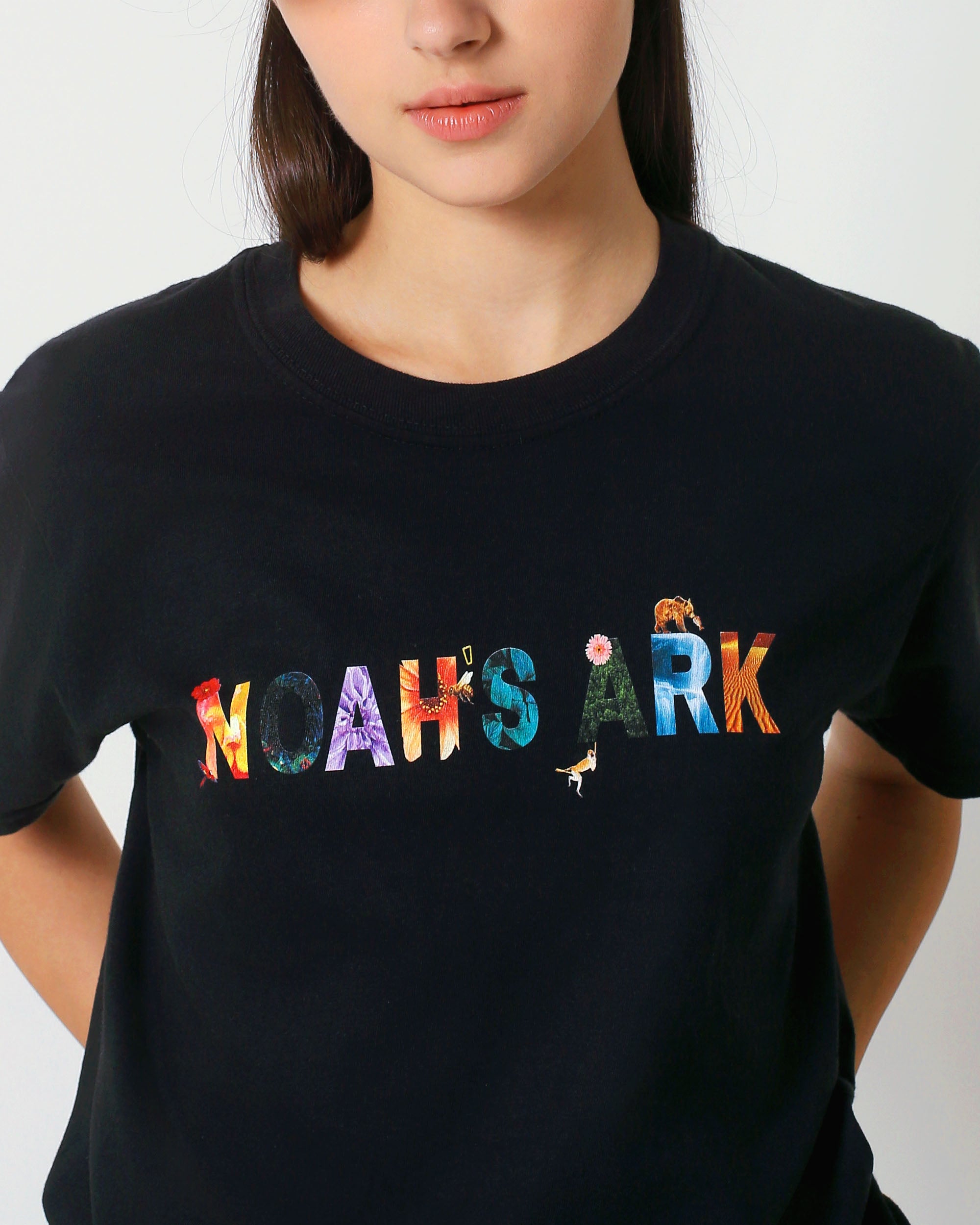 Noah's Ark